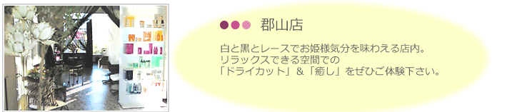 郡山店。白と黒とレースでお姫様気分を味わえる店内。 「ドライカット」&「癒し」をぜひご体験下さい。